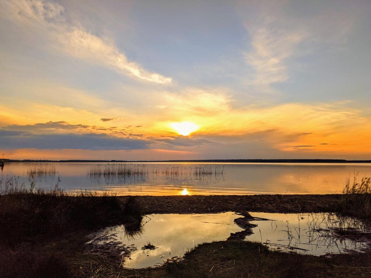 Helenes Ferienwohnung Auf Dem Bauernhof - Lausitzer Seenland Lauta Экстерьер фото